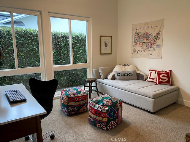 carpeted bedroom featuring multiple windows