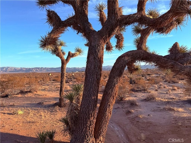 2700 Del Sol, Joshua Tree, CA 92252