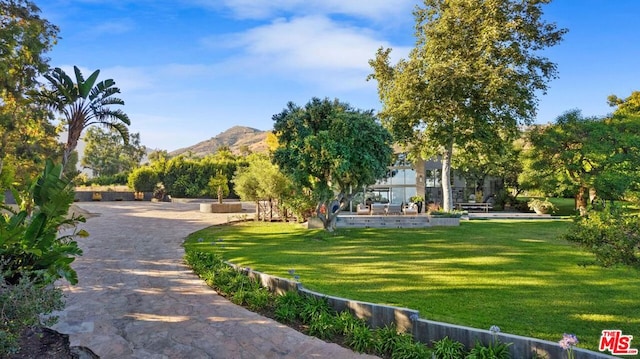 view of community featuring a mountain view and a yard