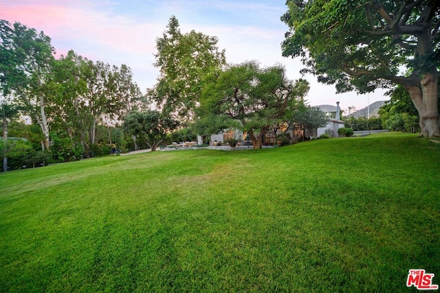 view of yard at dusk