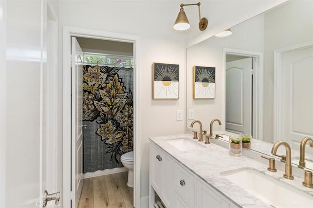 bathroom with vanity, hardwood / wood-style floors, and toilet