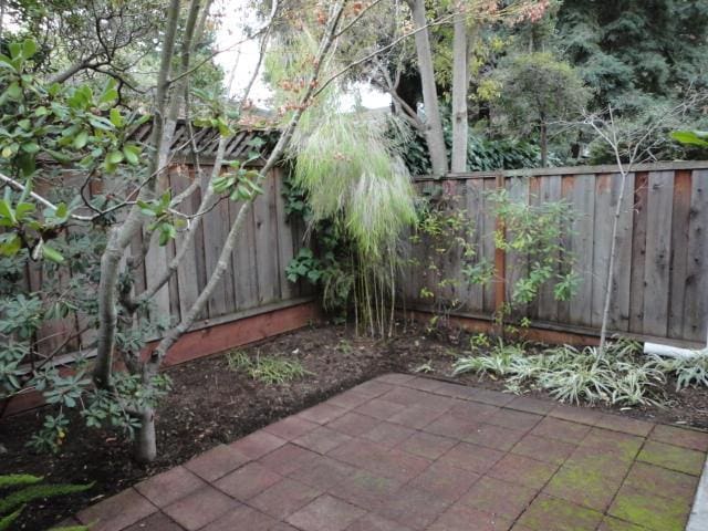 view of yard with a patio area