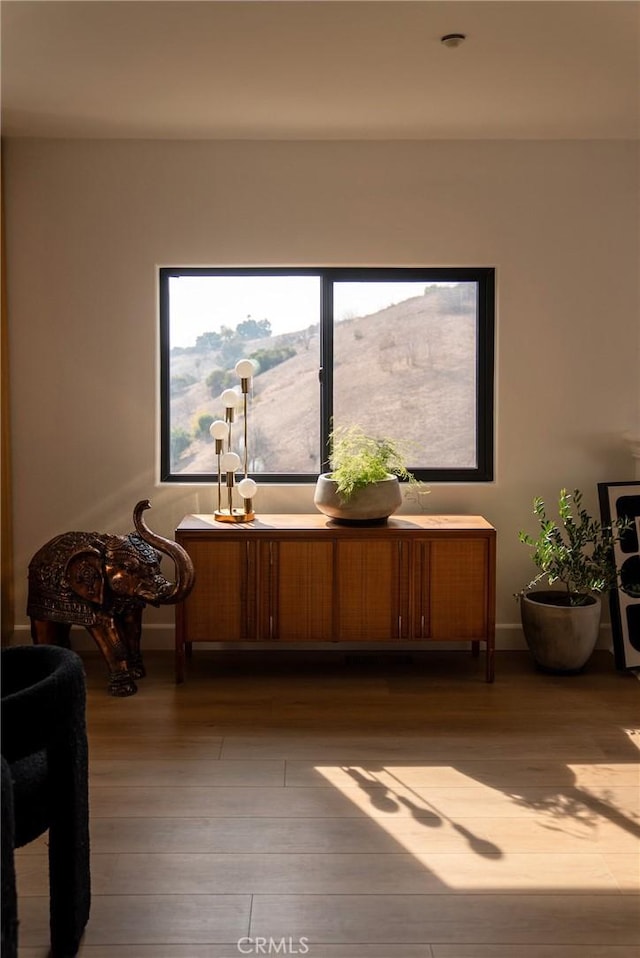 living area with wood-type flooring and a mountain view