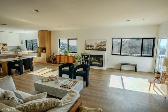 living room with light wood-type flooring