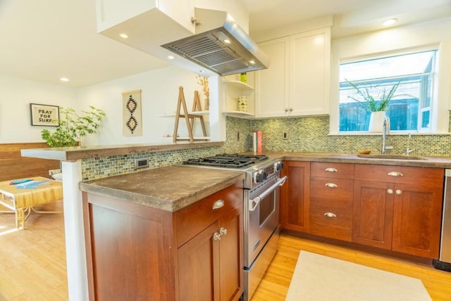 kitchen with sink, light hardwood / wood-style flooring, island exhaust hood, stainless steel appliances, and white cabinets