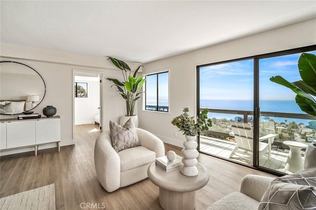 22332 Eagle Rock Way, Laguna Beach, CA 92651 - living room featuring a water view and wood finished floors