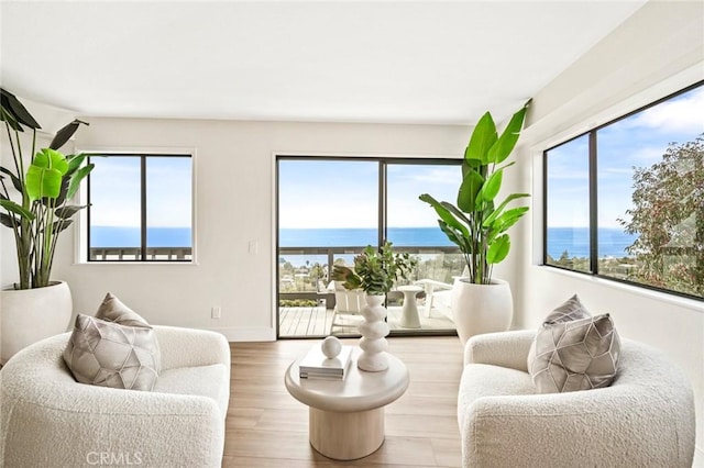 22332 Eagle Rock Way, Laguna Beach, CA 92651 - living area with a water view and wood finished floors