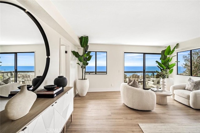 22332 Eagle Rock Way, Laguna Beach, CA 92651 - living area with wood finished floors and baseboards