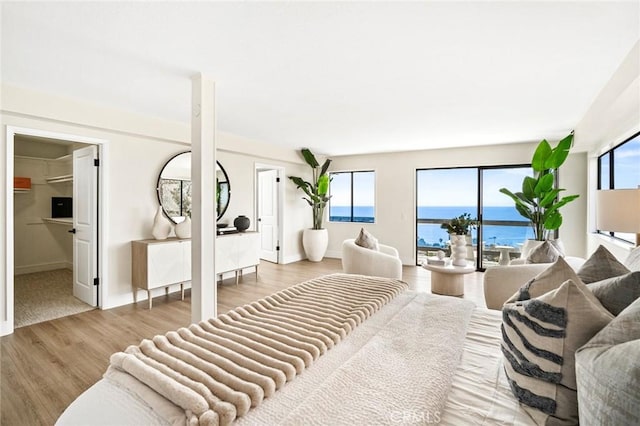 22332 Eagle Rock Way, Laguna Beach, CA 92651 - living area featuring wood finished floors and a water view