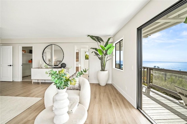 22332 Eagle Rock Way, Laguna Beach, CA 92651 - living room featuring a water view and light wood-style floors