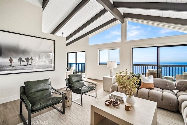 22332 Eagle Rock Way, Laguna Beach, CA 92651 - living area featuring wood finished floors and a water view