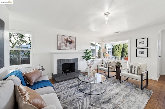 living room featuring wood-type flooring