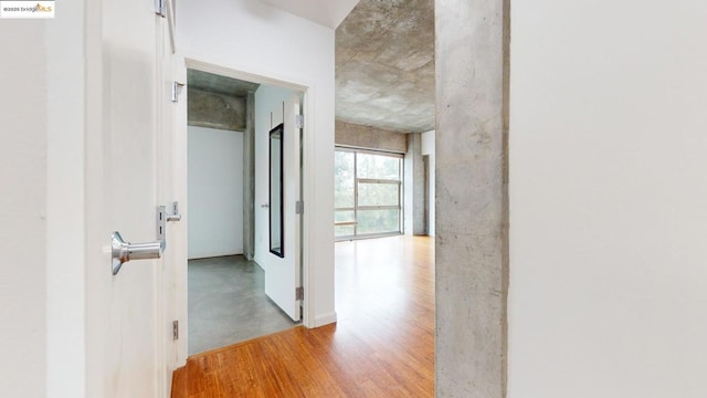 hall featuring light hardwood / wood-style floors