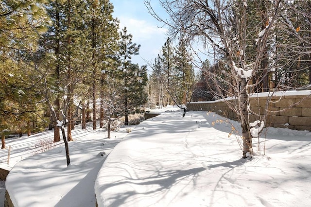 view of yard covered in snow