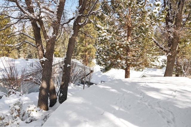 view of yard covered in snow