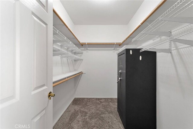 walk in closet featuring carpet