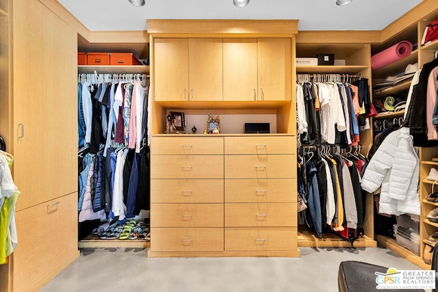 view of spacious closet