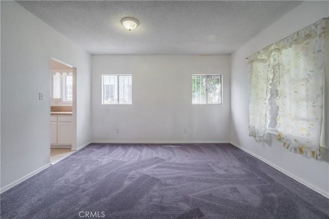 carpeted empty room with a wealth of natural light and a textured ceiling