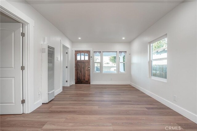 entryway with light wood-type flooring and a wealth of natural light