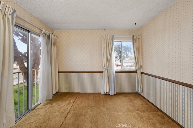 unfurnished room featuring light colored carpet and a textured ceiling