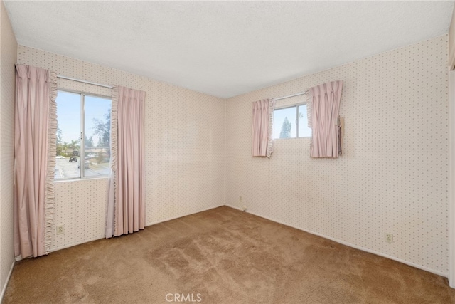 spare room featuring carpet and a textured ceiling