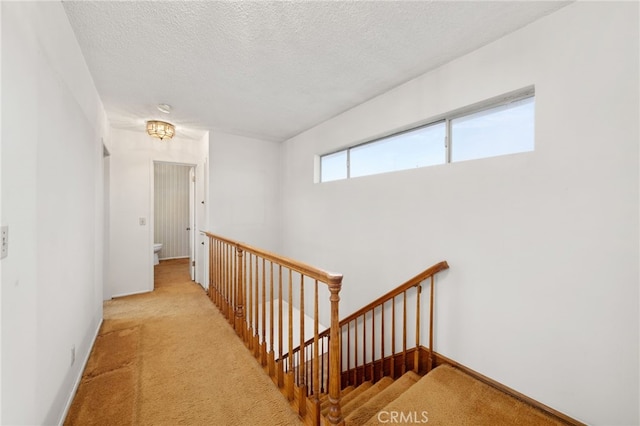 corridor featuring light carpet and a textured ceiling