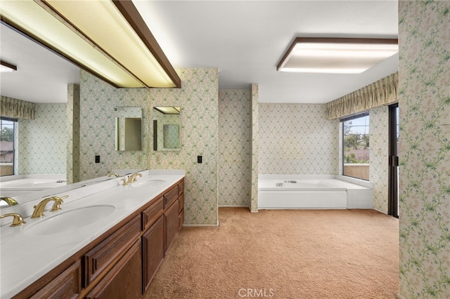 bathroom featuring a healthy amount of sunlight, a bathtub, and vanity