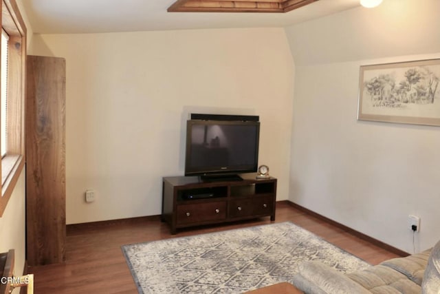 living room featuring vaulted ceiling and hardwood / wood-style floors