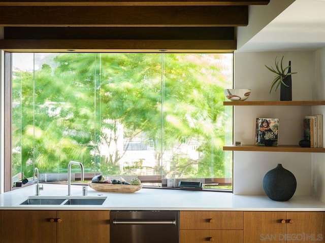 kitchen with sink and stainless steel dishwasher