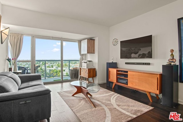 living room with dark wood-type flooring