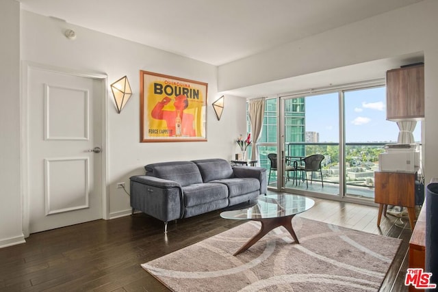 living room with dark wood-type flooring