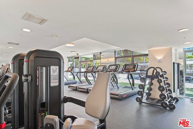 gym with floor to ceiling windows