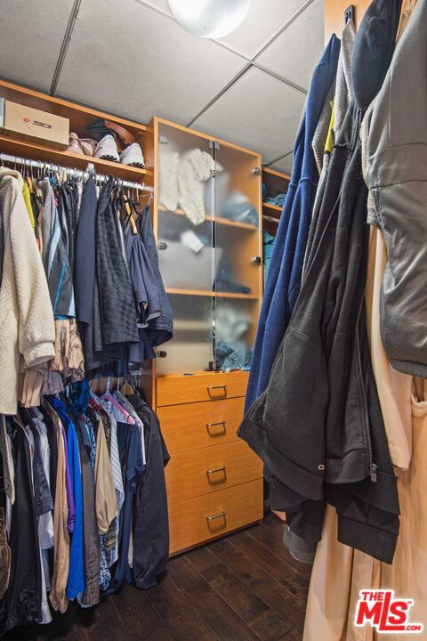 spacious closet with dark wood-type flooring