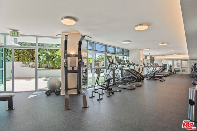 workout area with floor to ceiling windows and a wealth of natural light