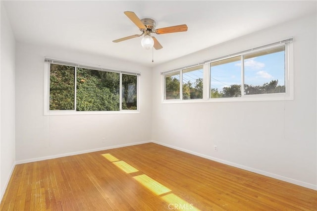 unfurnished room featuring wood-type flooring and ceiling fan