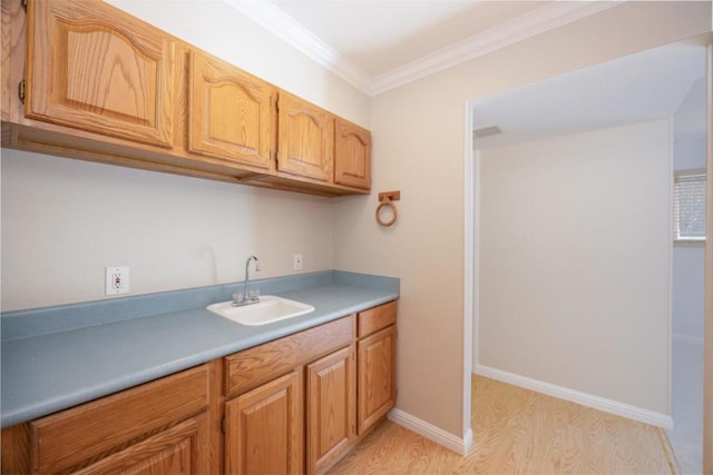 kitchen with sink, crown molding, and light hardwood / wood-style flooring