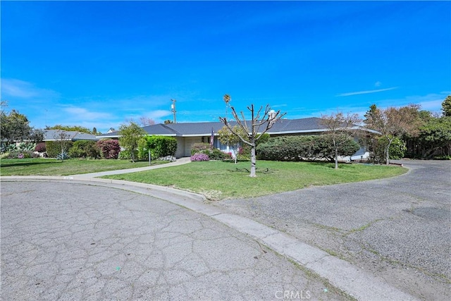 ranch-style home with a front yard