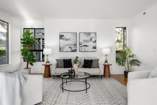 living room featuring hardwood / wood-style flooring