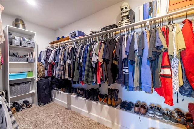 walk in closet with carpet floors