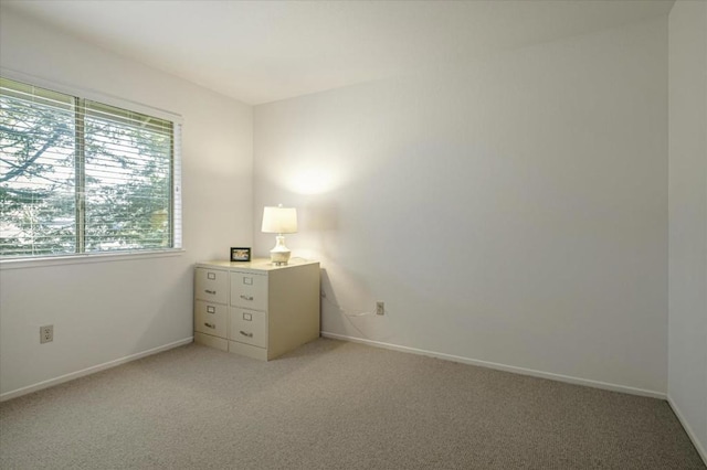 unfurnished bedroom with light colored carpet