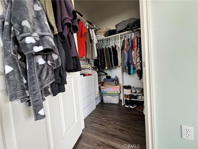 spacious closet featuring dark hardwood / wood-style floors