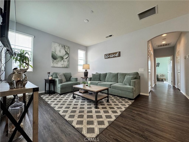 living room featuring wood-type flooring