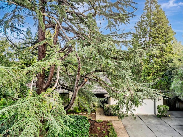 view of property hidden behind natural elements with a garage