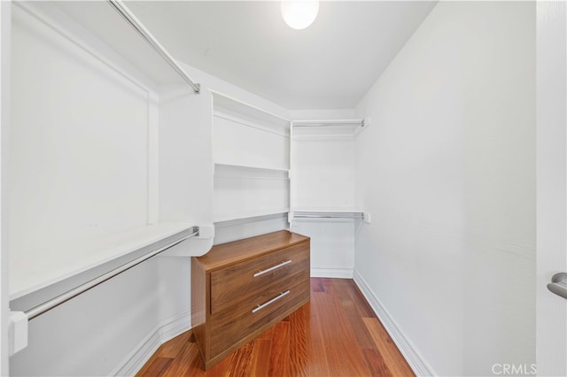 spacious closet with hardwood / wood-style flooring