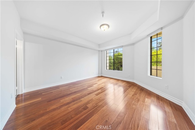 spare room featuring wood-type flooring