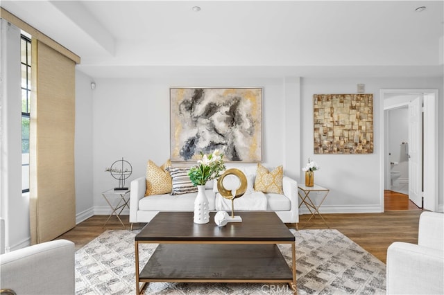 living room with wood-type flooring