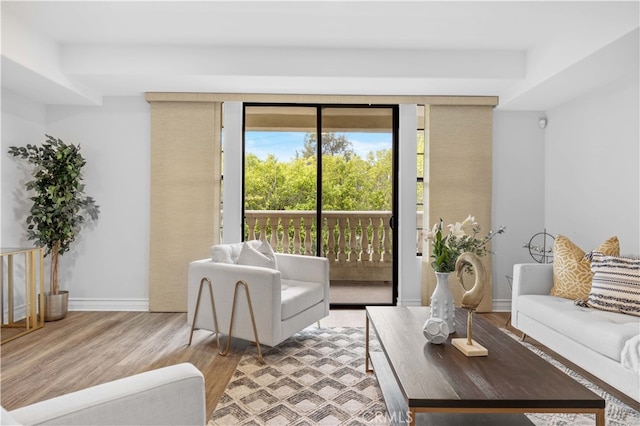 living room featuring light hardwood / wood-style floors