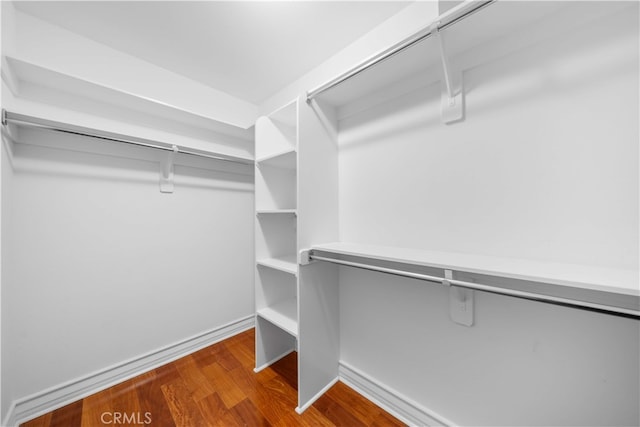 walk in closet with wood-type flooring