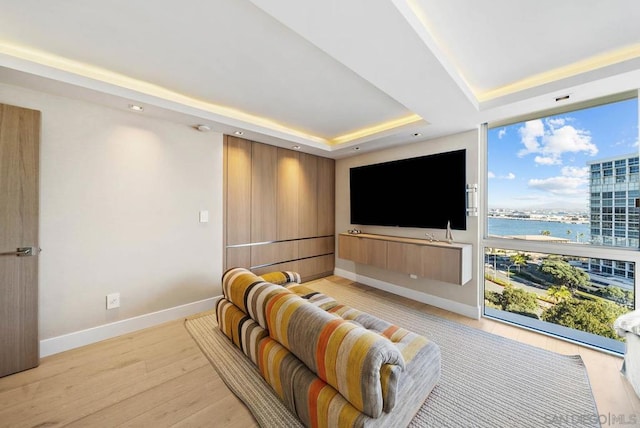 home theater room with a raised ceiling and light wood-type flooring