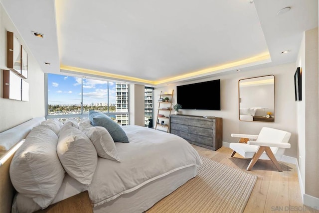 bedroom with light hardwood / wood-style flooring and a raised ceiling